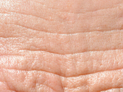 SMOOTH WRINKLE REDUCERS